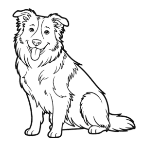 Border Collie Köpeği Boyama Sayfası