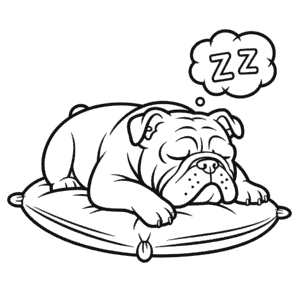 Bulldog Boyama Sayfası