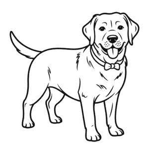 Siyah Labrador Köpeği Boyama Sayfası